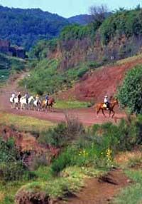 Promenade à cheval à la ferme de chevaux d'El Solobre Canyon, Grande Canarie