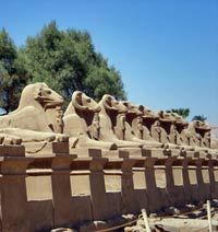 Avenue de Sphinx, au Temple de Louxor