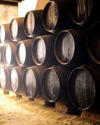 private-tour-piedmont-wine-tasting-of-the-barolo-region-in-turin-2
