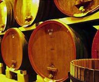 Une dégustation et visitedes caves de meilleurs vin d'Avignon