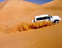 Safari aventure privé en 4x4 et surf sur les dunes, Dubaï