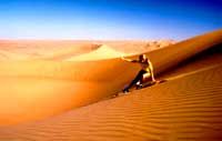 Un surf dans les dunes dans le désert de Dubaï
