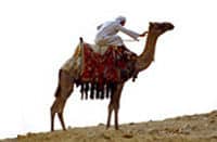 Safari privé à dos de chameau, Charm-el-cheikh