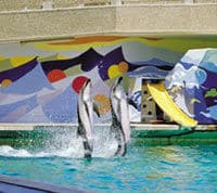 Le spectacle de dauphins au monde marin d'Ushaka, Durban