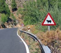 La route menant au village d'El Roque, Grande Canarie