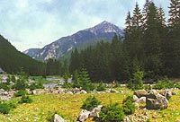 Un beau paysage montagnard de Zakopane et Tatras