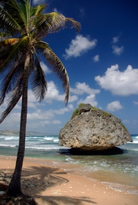 Les magnifiques plages de la Barbade
