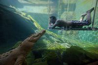 La Cage de la Mort et rencontre avec les crocodiles