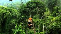 Forêt tropicale - Parc aventure et tyrolienne Jungle Xtrem