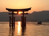 Itsukushima - Torii
