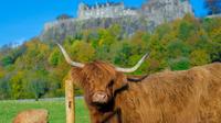visite-du-ch-teau-de-stirling-du-parc-national-des-trossachs-et-du-in-edinburgh-490413