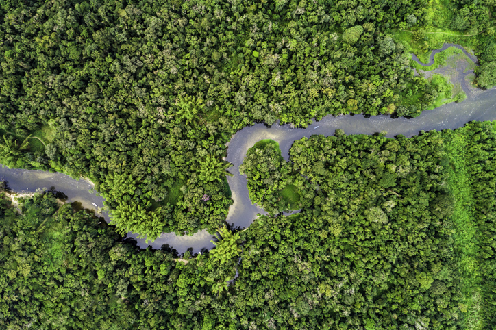Amazonie équatorienne 2021