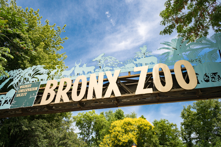 Zoo de New York