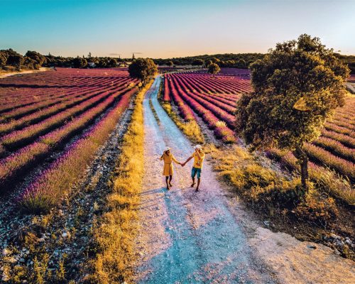 Couple dans les champs de lavande en Provence