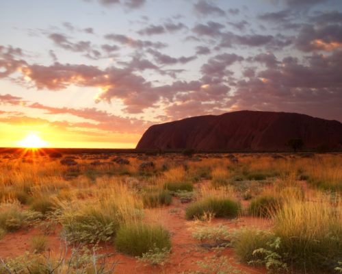 Uluru - Outback