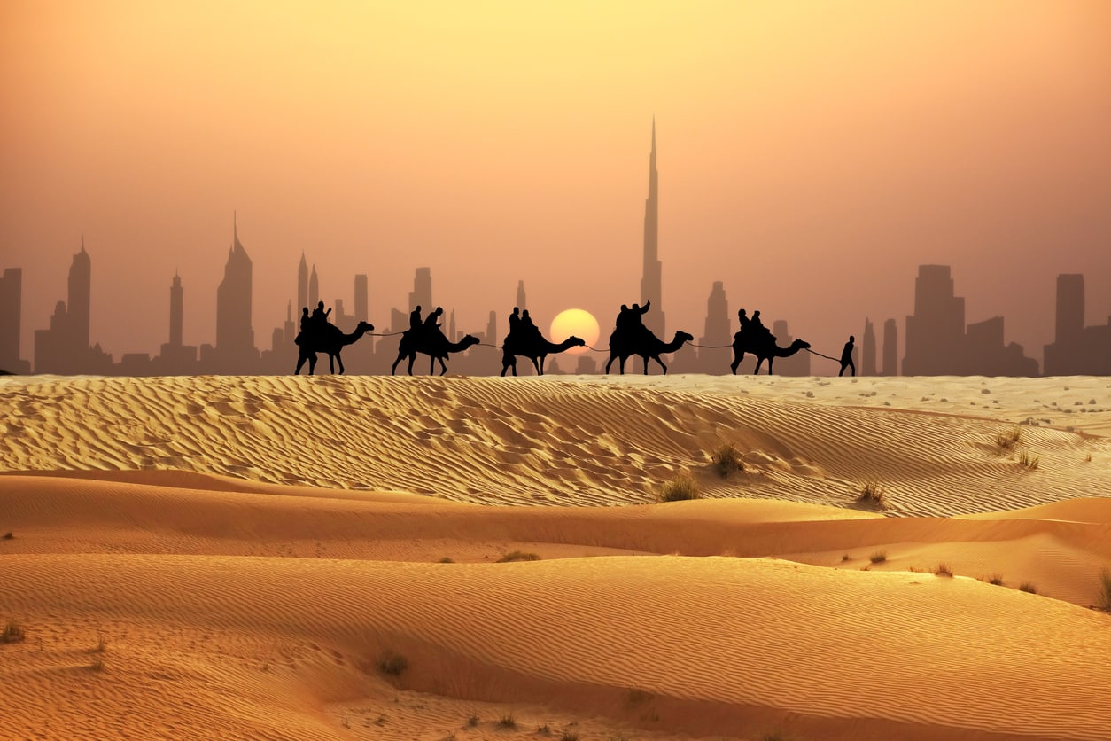 Désert d'Arabie - désert