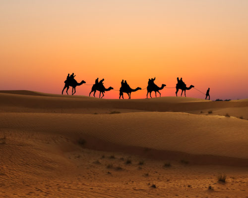 Désert du Sahara - Désert d'Arabie