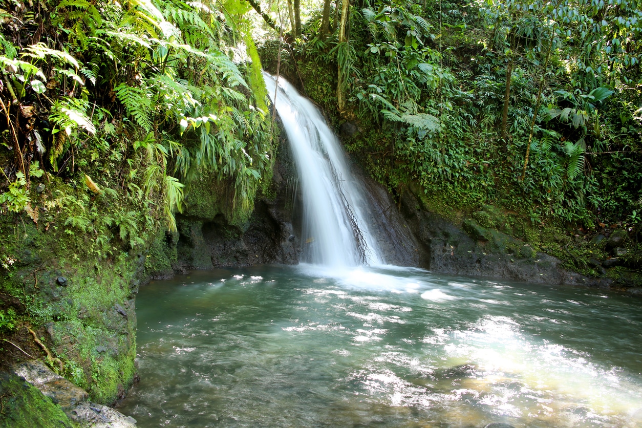 Parc National de la Guadeloupe - Cascade aux Ecrevisses