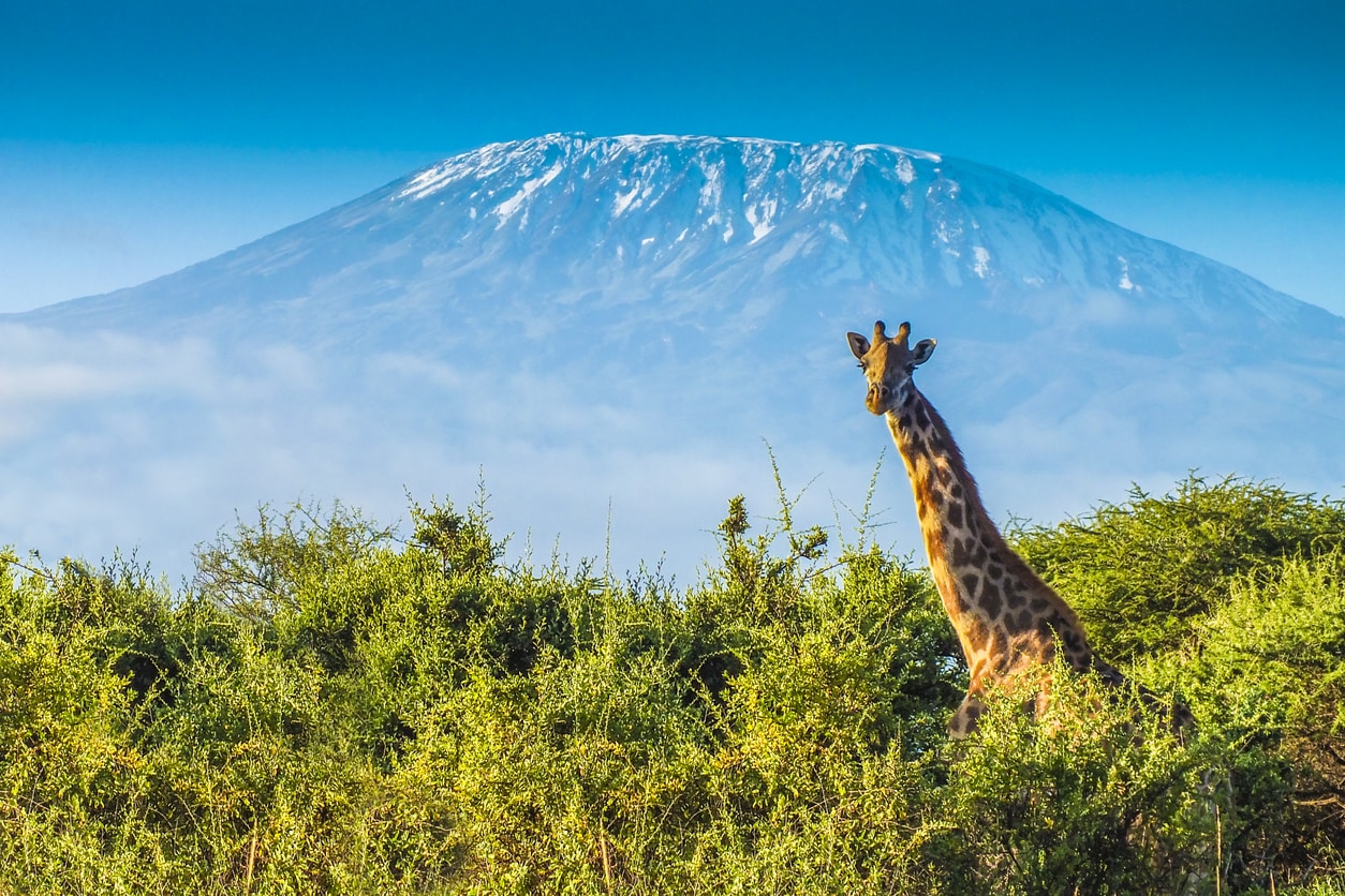 Aéroport international du Kilimandjaro - le Mont Kilimanjaro