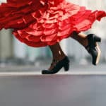 Flamenco - Photographie de stock