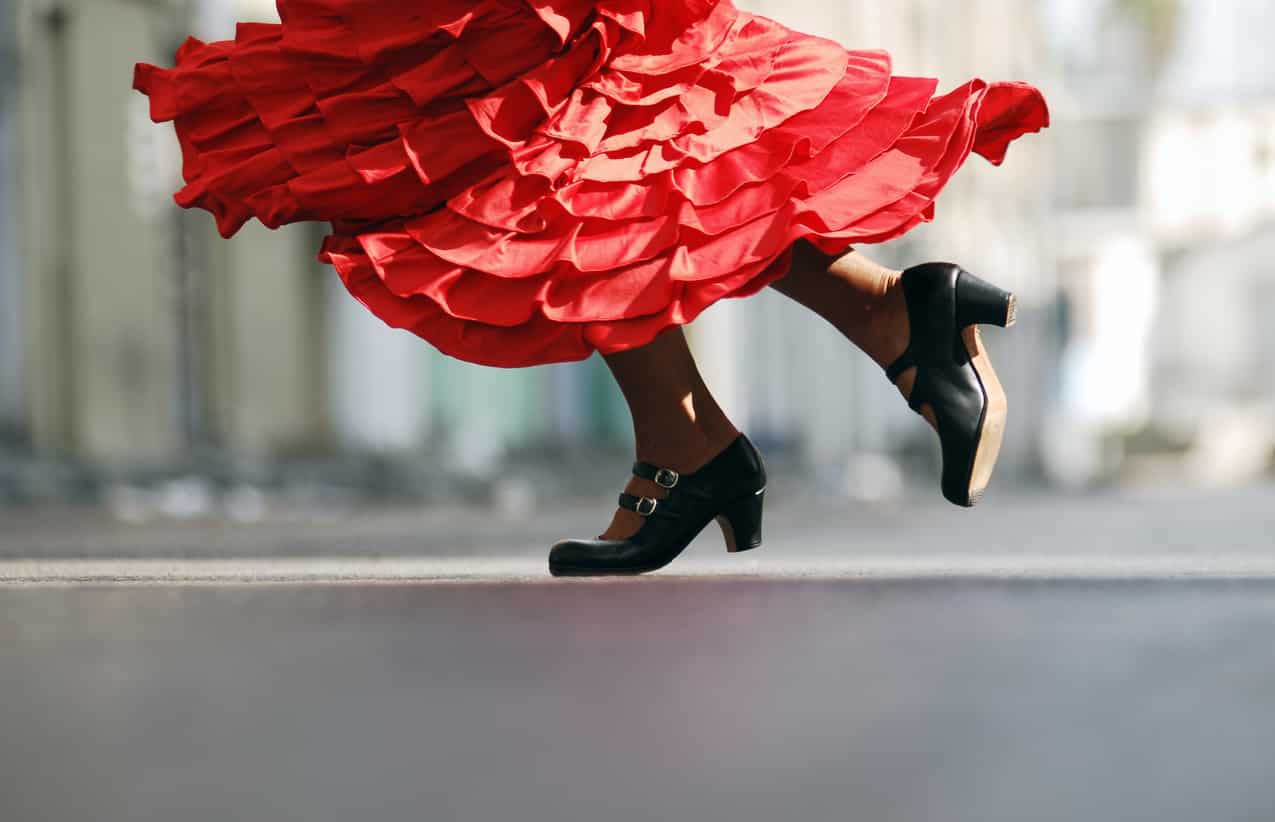 Flamenco - Photographie de stock