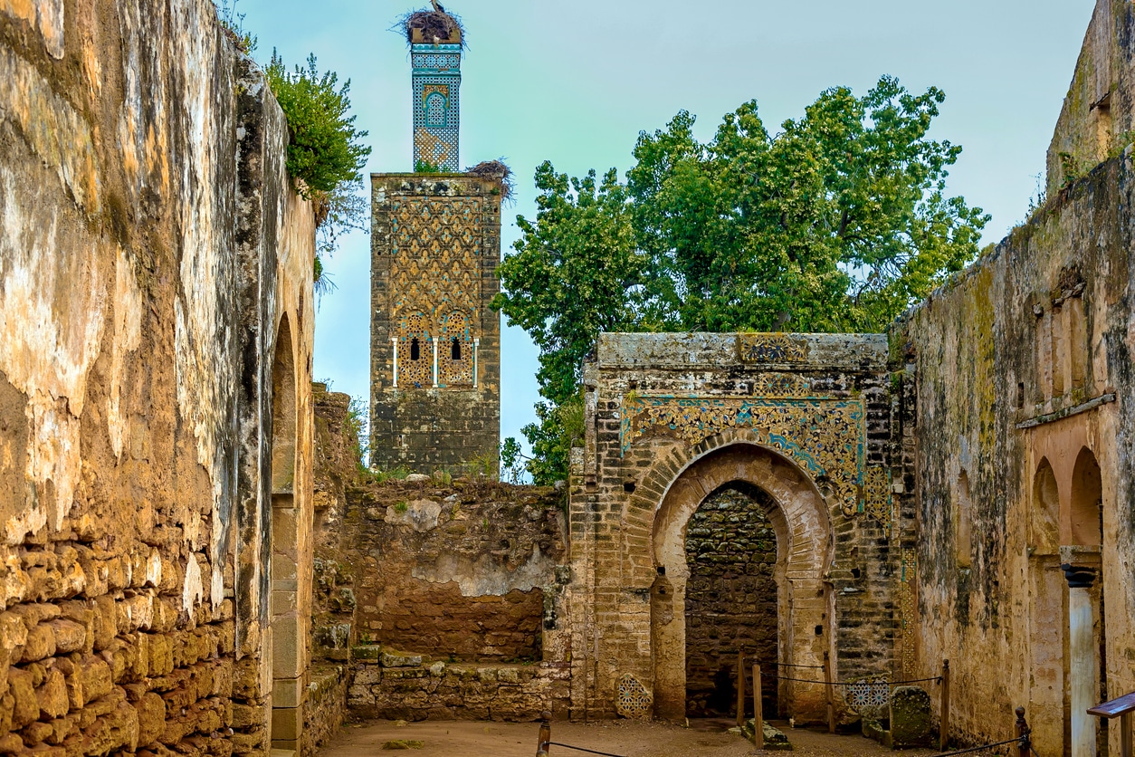 Chellah - Ruines