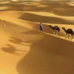 Très Chebbi - Désert du Sahara
