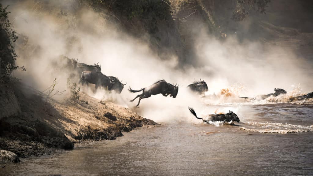 Réserve nationale du Masai Mara - Rivière Mara