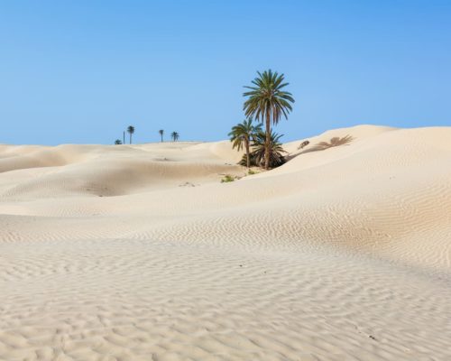 Désert du Sahara - Dune