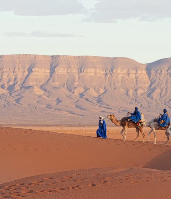 Désert du Sahara - Merzouga