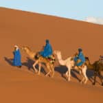 Désert du Sahara - Très