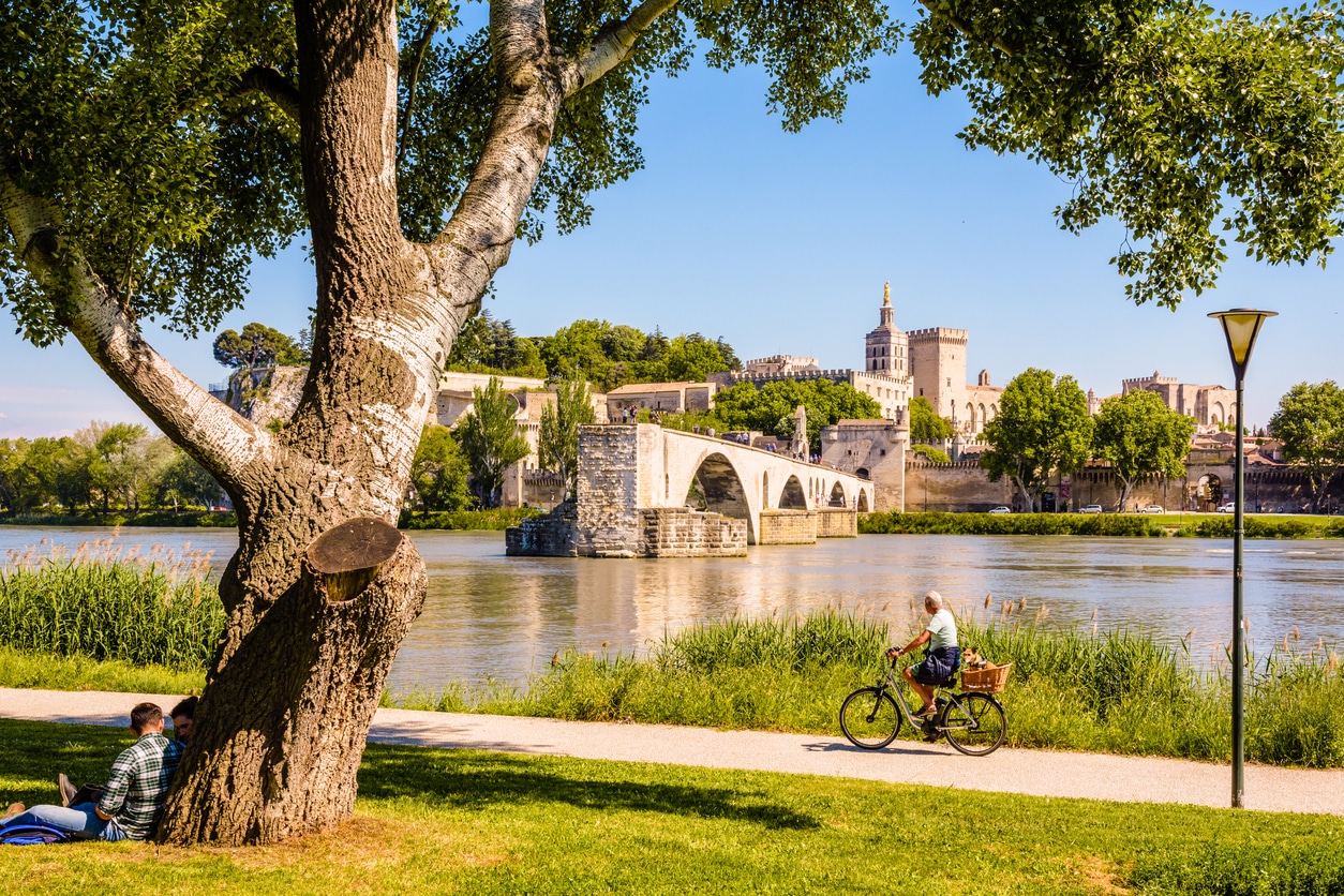Pont d'Avignon - Palais des Papes