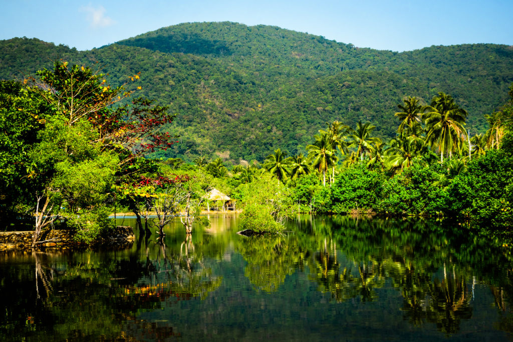 Jungle de Koh Chang