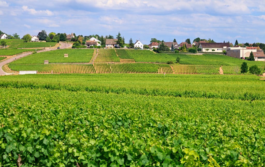 Vignobles et villages bourguignons