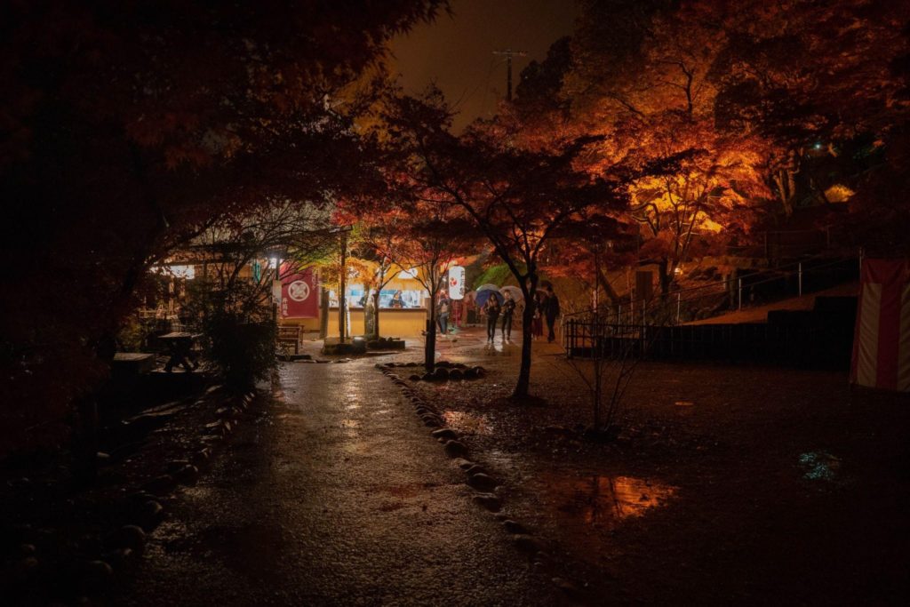 Korankei, parc illuminé pendant la saison des momijis