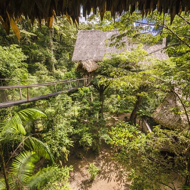 Pont suspendu à Kourou, Camp Canopée, Guyane