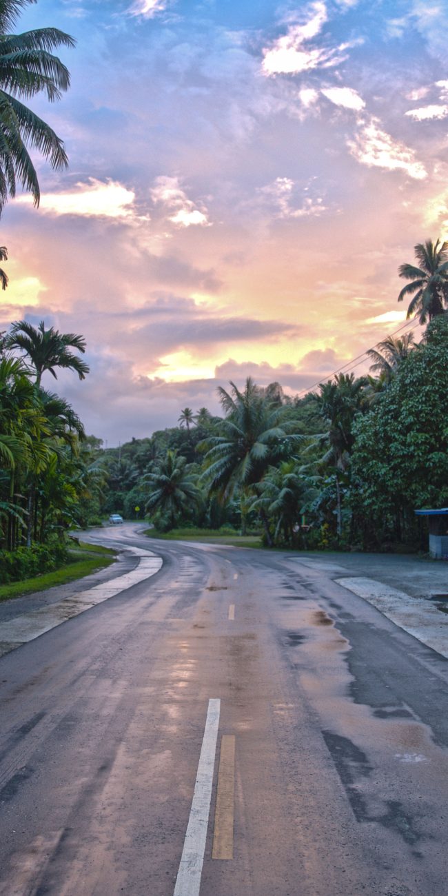 Route vers le soleil couchant à travers les palmiers en République Dominicaine