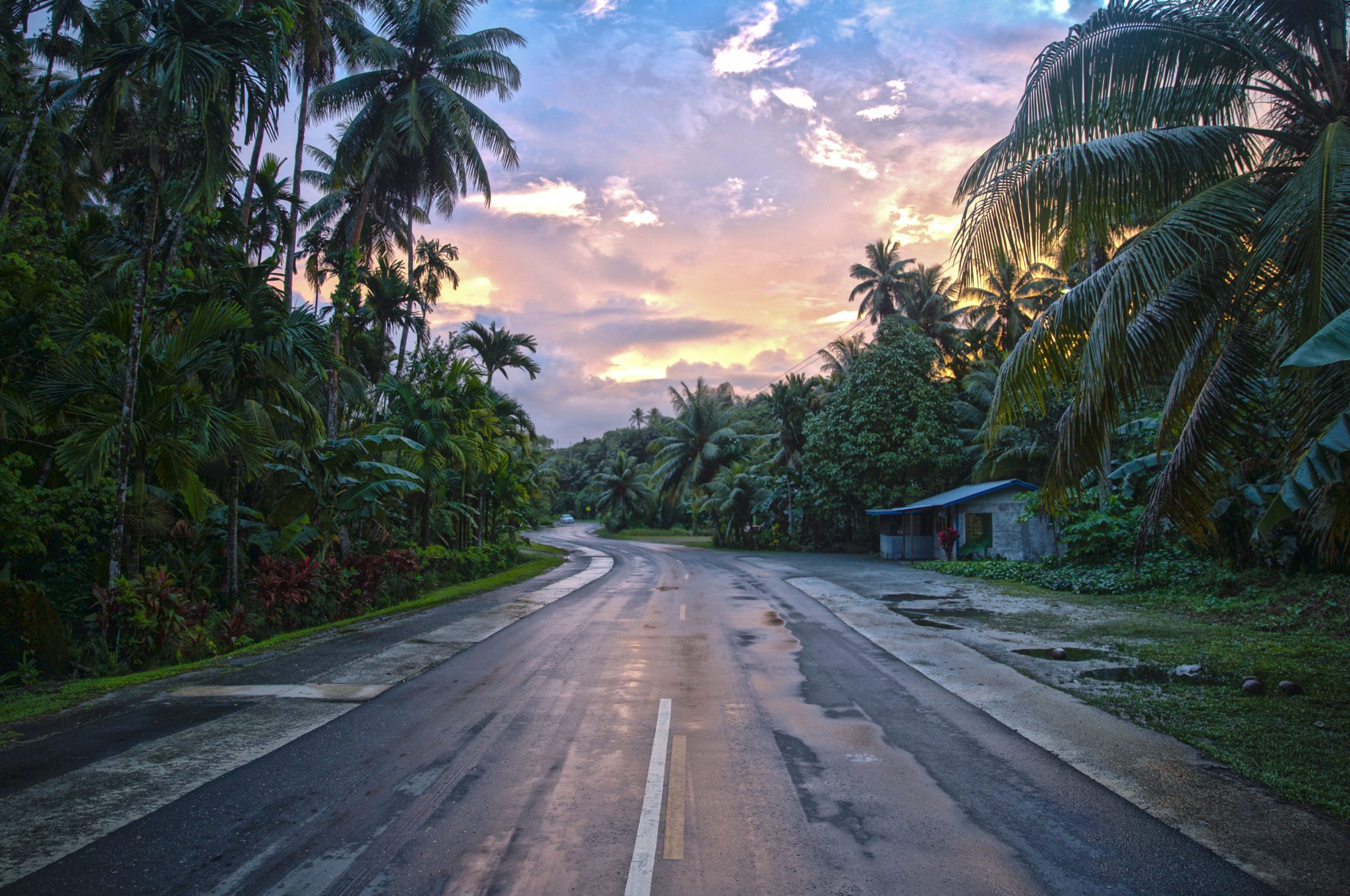 Route vers le soleil couchant à travers les palmiers en République Dominicaine