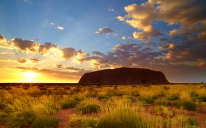 Le soleil se lève au-delà du magnifique monolithe de grès, Uluru, illuminant l'herbe 