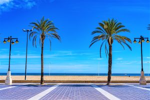 La plage de Malvarrosa à Valence, avec un ciel bleu, des plamiers et au fond la mer