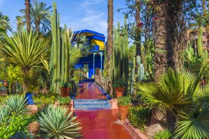 Citybreak à Marrakech : Jardin tropical au Jardin Majorelle