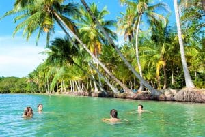 Amis en vacances se baignant dans les eaux de Bocas del Toro au Panama, sous les palmiers