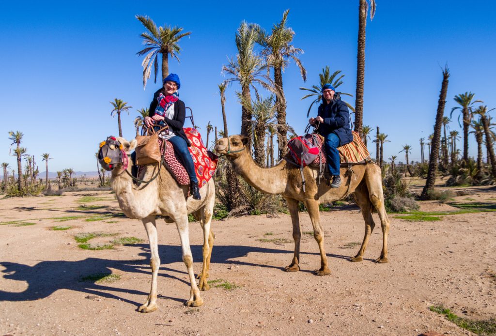 Citybreak à Marrakech : Balade en chameau