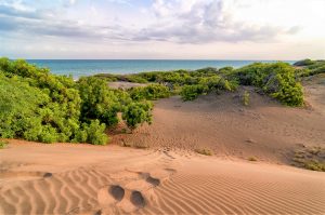 Les dunes de Bani, lors d'un road trip en République Dominicaine