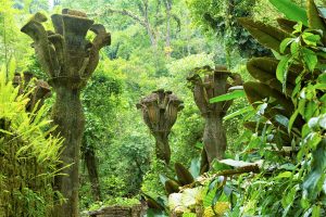 Les sculptures surréalistes d'Edward James, dans le jardin de Las Pozas au Mexique