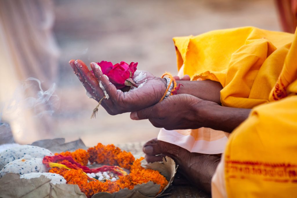 Voyage spirituel en Asie - Fleur sacrée en Inde