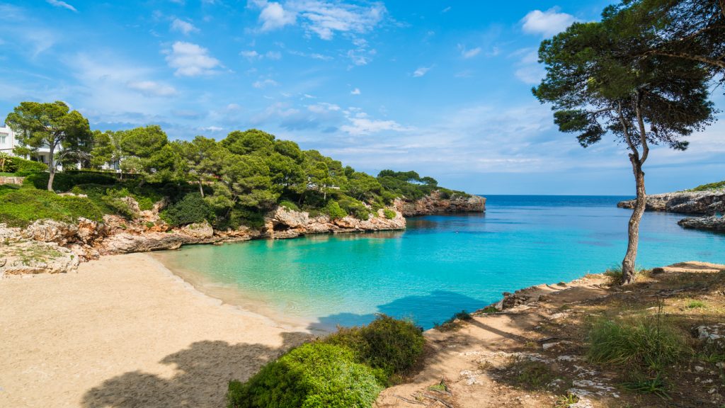 Palma de Majorque, destination de rêve pour télétravailler en Espagne
