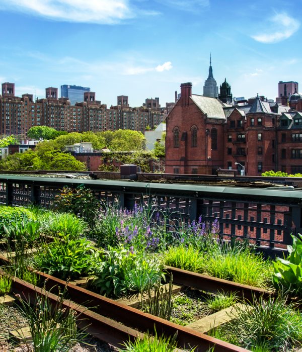 Visites alternatives de New-york : High Line Park