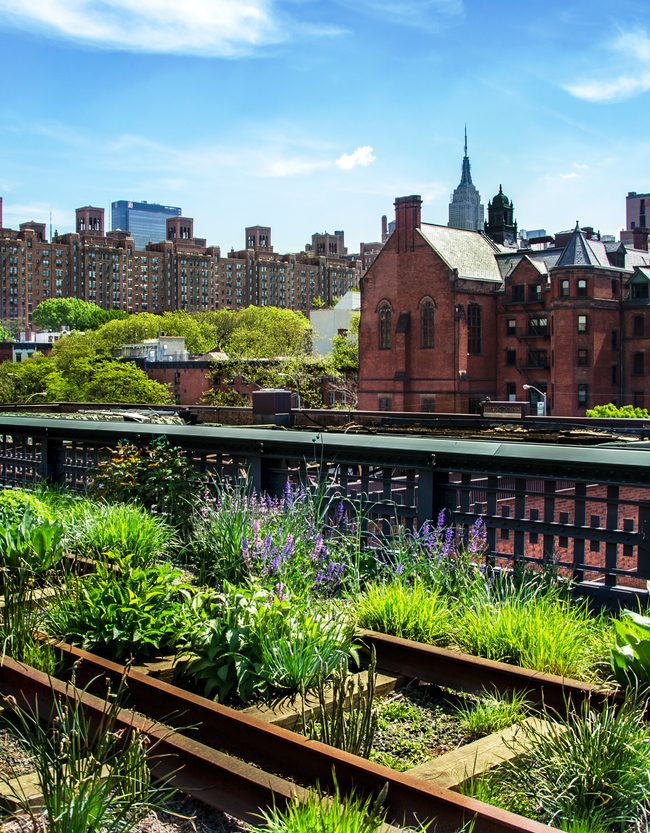 Visites alternatives de New-york : High Line Park