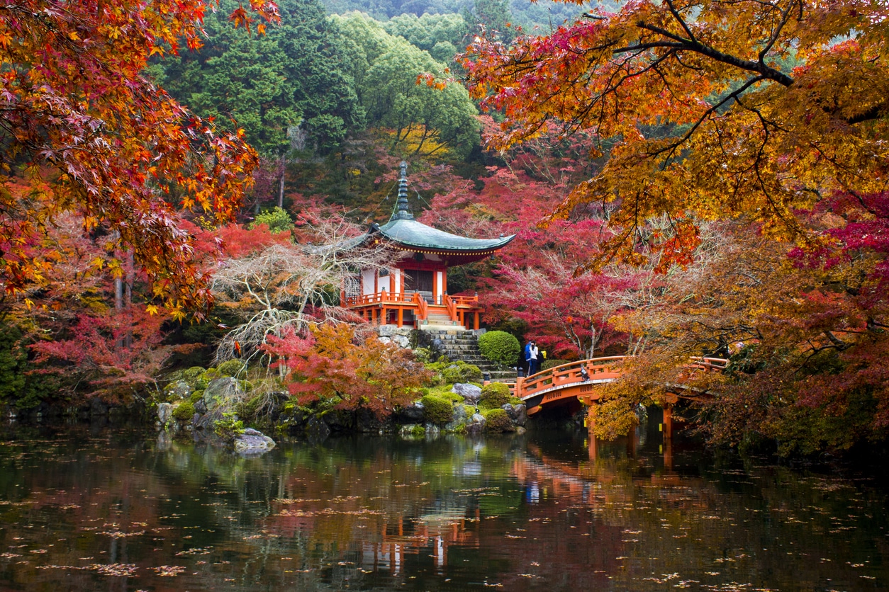 Où voyager en famille à l'automne ? Direction Kyoto, au Japon, pour admirer les érables rouges.